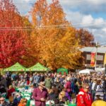 CiderFest 2018