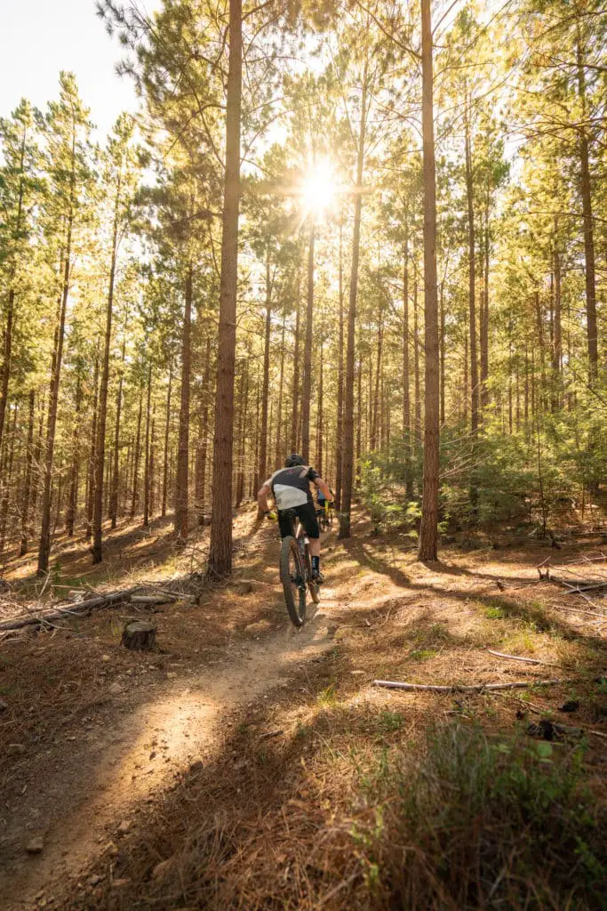 Riders through plantation forests on MTB trails in Tumbarumba, Snowy Valleys, NSW