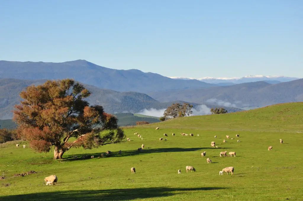 Southern Cloud Memorial Lookout, Tooma. On the Snowy Valleys Way, between Tumbarumba NSW, and Corryong Vic. This is part of the Upper Murray Region.